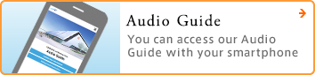 Audio Guide 