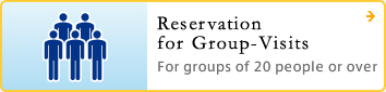 Reservation for Group-Visits